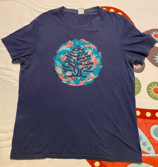 Camiseta de Springfield