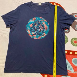 Camiseta de Springfield