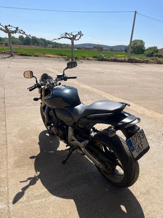 Honda CB 600 Hornet