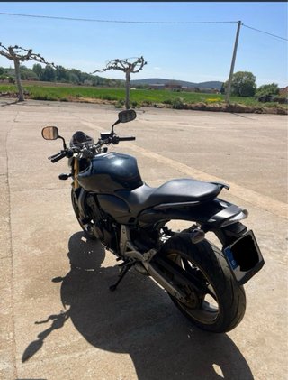 Honda CB 600 Hornet