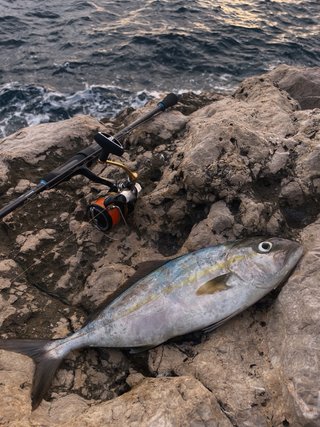 Equipo pesca Spinning Ligero / Rockfishing Ibiza
