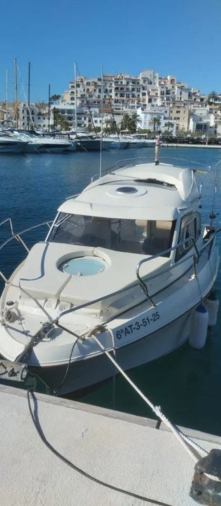 Salidas de Pesca en Barco Alicante