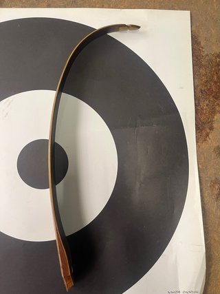 Arco Ricurvo Robertson Montana LH