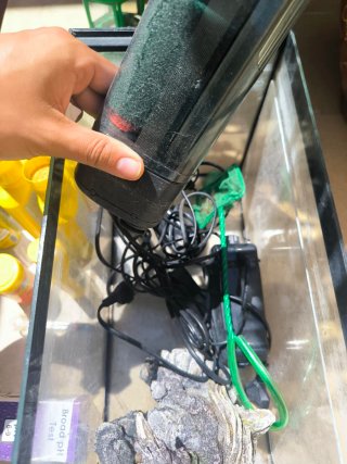Pecera con accesorios de acuario