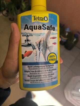 Pecera con accesorios de acuario