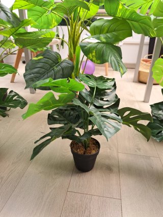 Planta Pothos Florero 90cm