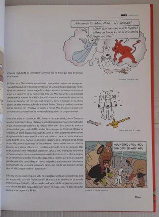 Tintin y Cia.