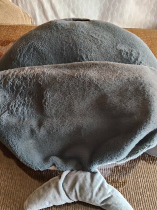 Saco dormir tiburón 160x60 cm
