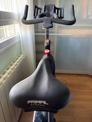 Bicicleta Spinning Titanium Strength TS3