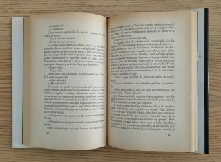 Libro: La hescritora - Cuca Canals