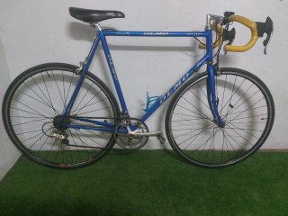 Olmo clasica
