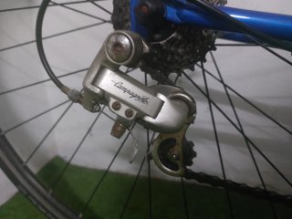 Olmo clasica