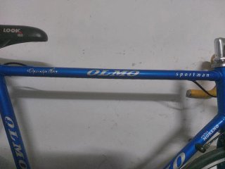 Olmo clasica