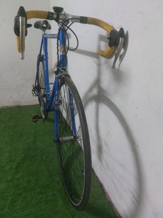 Olmo clasica