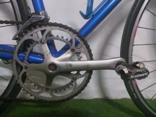 Olmo clasica
