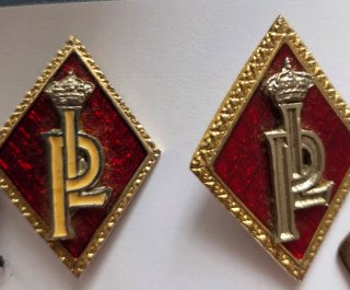 Lote Gorra e Insignias Policía Local Antiguo