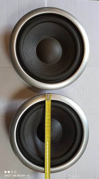 Altavoces de 8 pulgadas 6 ohms 30W