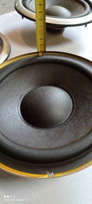 Altavoces de 8 pulgadas 6 ohms 30W
