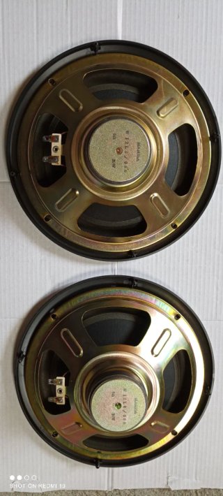 Altavoces de 8 pulgadas 6 ohms 30W