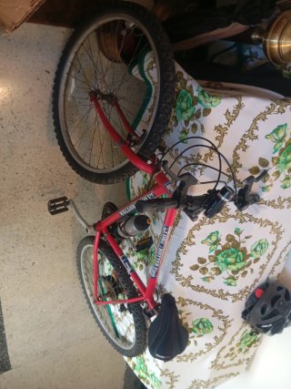 Bicicleta Globe Trotter Roja