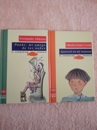 LOTE DE 9 LIBROS JUVENILES