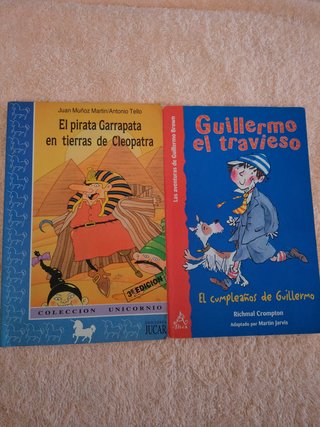 LOTE DE 9 LIBROS JUVENILES