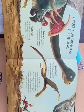 Lote libros Gigantosaurus
