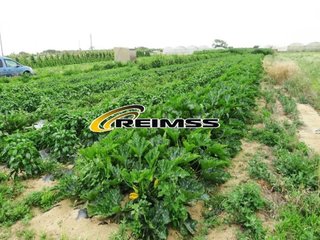 Terreno en venta en Malgrat de Mar