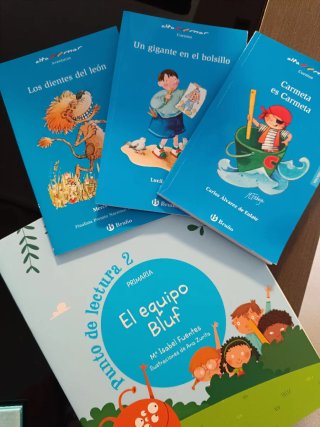 Libros lectura primaria (Bruño + Punto de lectura)