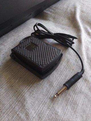 Yamaha P-45