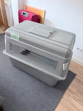 Transportín Perro Aprobado Viaje Gris perro grande