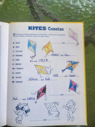Libro en inglés