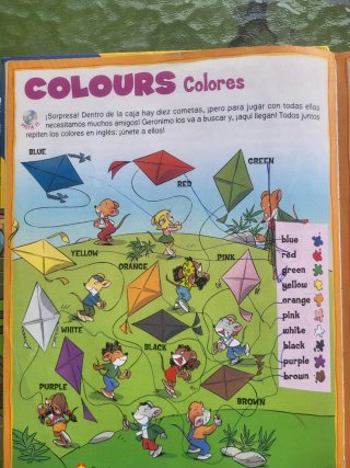Libro en inglés