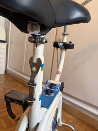 Bicicleta Estática BH Vintage