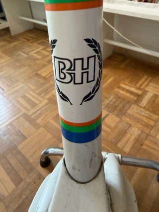 Bicicleta Estática BH Vintage