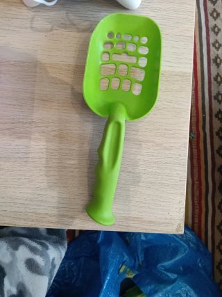 Lote comida y accesorios para gato