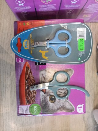 Lote comida y accesorios para gato