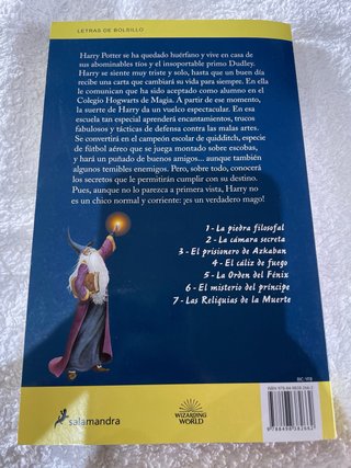 Harry Potter y la piedra filosofal (Harry Potte...