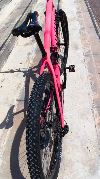 Bicicleta Specialized Epic 29 Carbono.