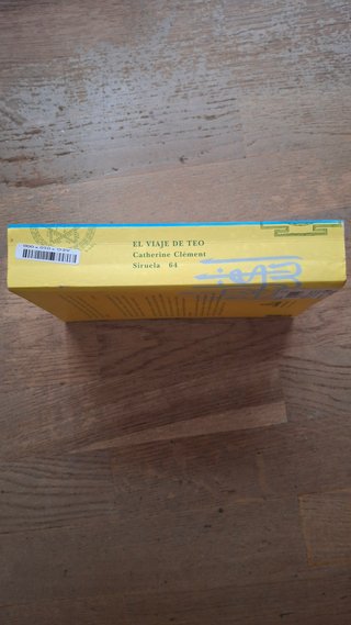 El viaje de Teo (Spanish Edition)