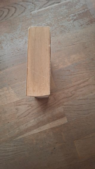 El viaje de Teo (Spanish Edition)