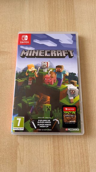 Nintendo Switch + Accessori + Minecraft