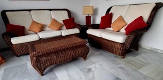 Conjunto de jardín mimbre y cojines