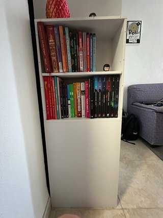 Mueble blanco salón madera