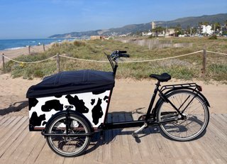 Bicicleta Cargo Bakfiets 4 plazas