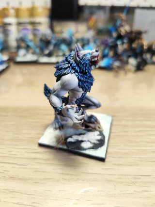 Warhammer Condes Vampiro - Licántropos