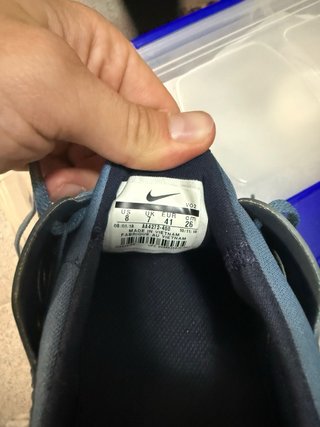 Nike SB Azules y Beige