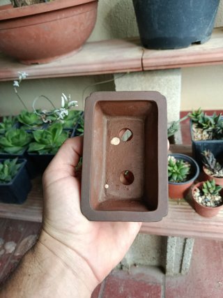 Maceta japonesa Tosui terracota
