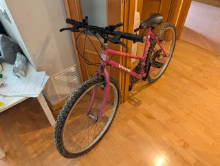 Bicicleta Riamo Y20 Rosa