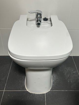 Inodoro y bide ROCA blancos